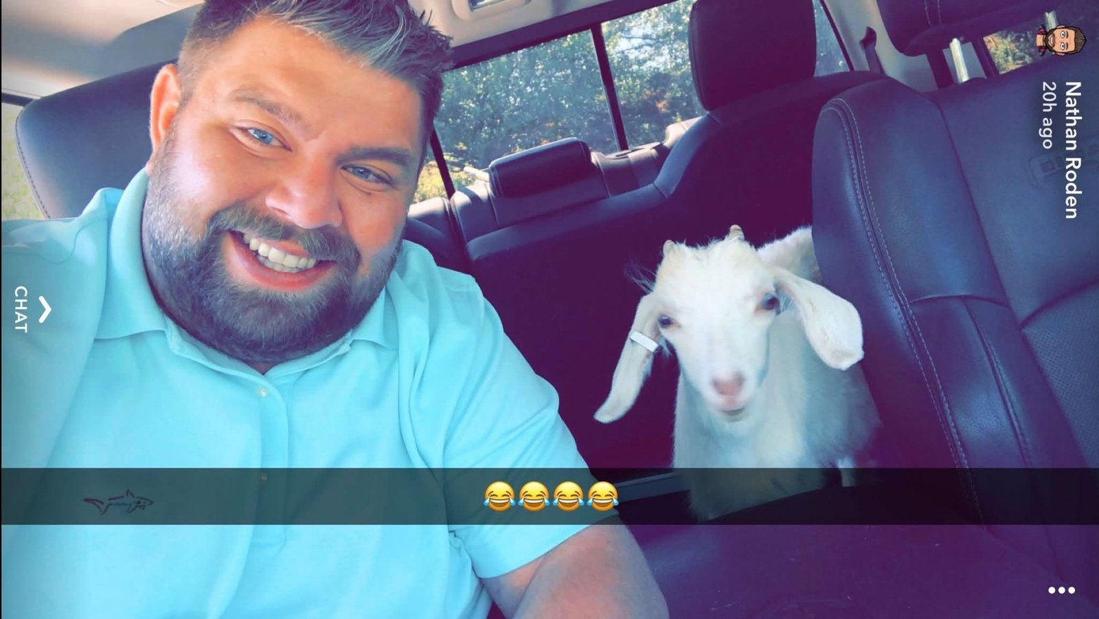 A goat riding shotgun — pure Nate. 😂